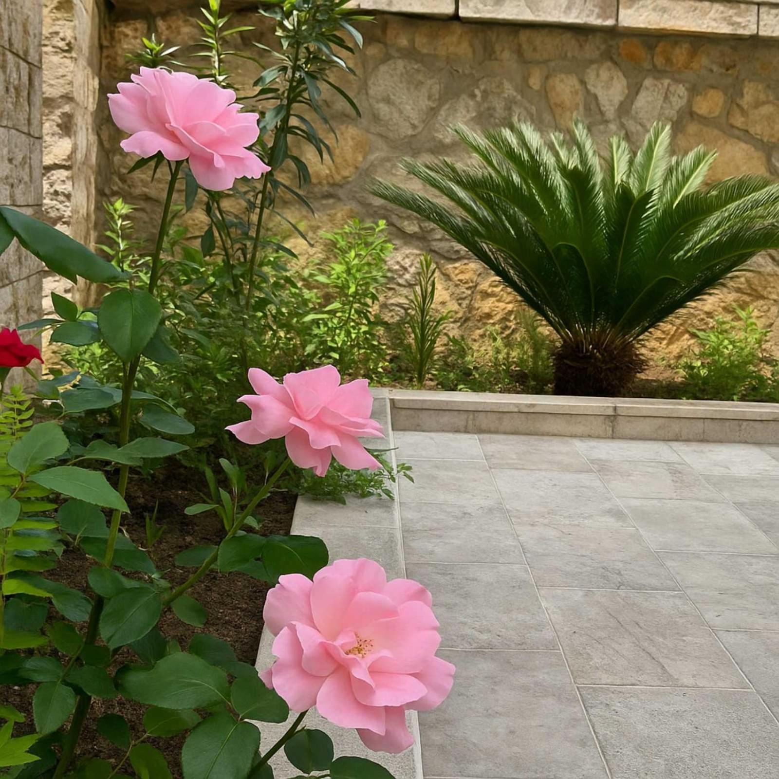 Apartments Villa Mirjana Budva Exterior foto